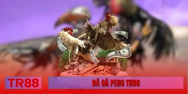 đá gà Peru TR88